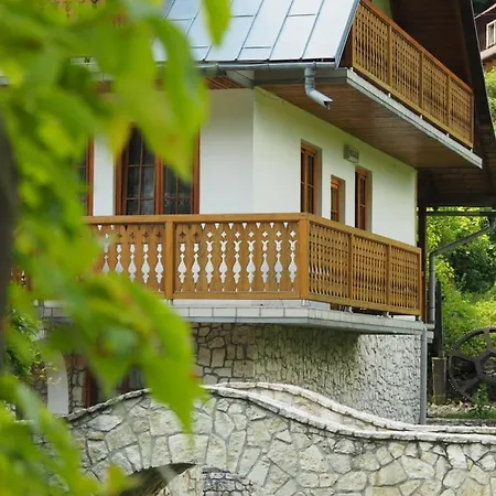 Guest house Goscinne Mlyn Bosaka *