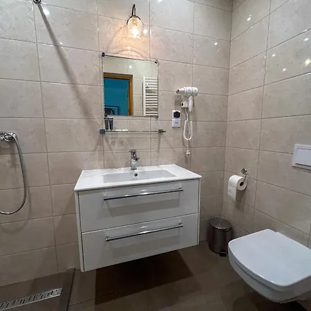 Guest house Goscinne Mlyn Bosaka